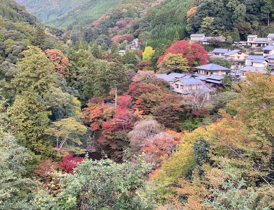 <figcaption>清滝川沿いの紅葉。</figcaption>